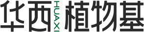华西植物基